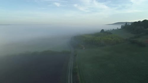 Aerial view of rural landscape with fog in autumn