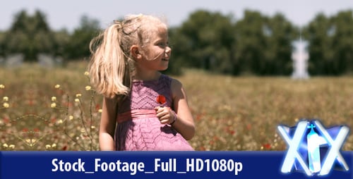 Young Girl Picking Wildflowers in Field on Sunny Day