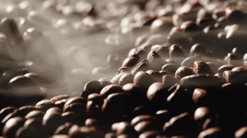 Steaming Pile of Fresh Coffee Beans