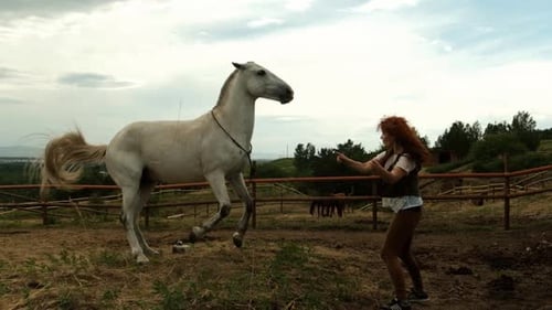Woman Interacts with White Horse in Rural Paddock