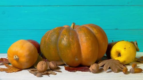 Halloween Still Life with Decorative Pumpkins, Walnuts, Acorns and Autumn Leaves