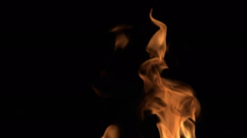 Abstract Flames Flickering Against Black Background