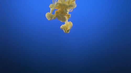 Yellow Ink Dropping Into Blue Liquid