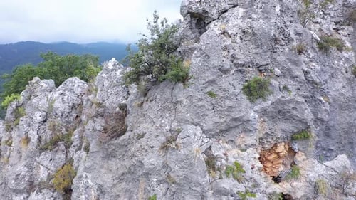 Close Up of Rocky Cliffs and Green Trees Above Mountain Valley