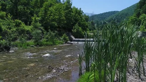 Stream flowing through the trees in the forest.