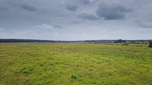 Aerial View to Green Spring Landscape with Meadow