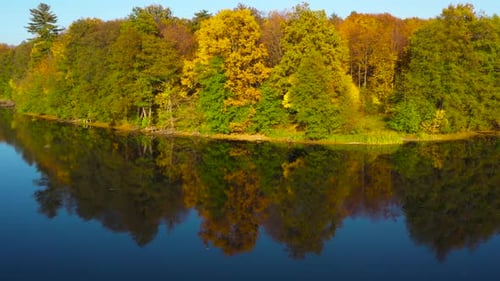 Aerial View of the Lake and the Bright Autumn Forest on Its Shore