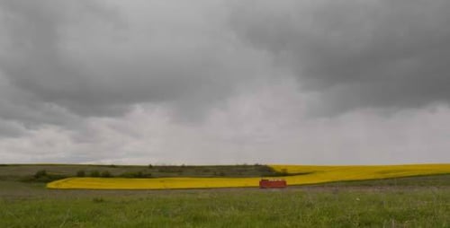 Clouds And Field