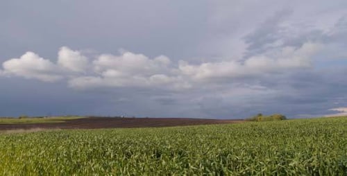 Clouds And Field