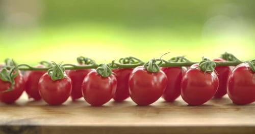 Bunch of Tomatoes