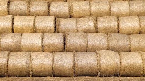 Young Adult Walking Past Stacked Golden Hay Bales