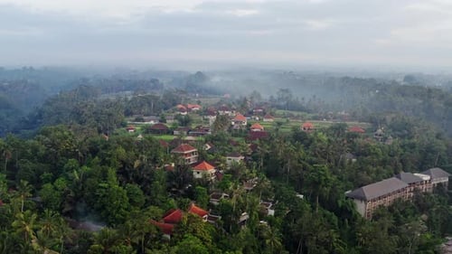 Beautiful Sunrise Over Tropical Forest Jungle. Morning Fog in the Jungle. Ubud, Bali