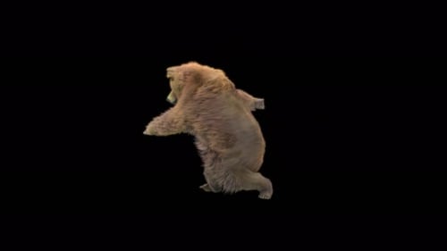 189 Bär Doppelwaffenkombination 4K