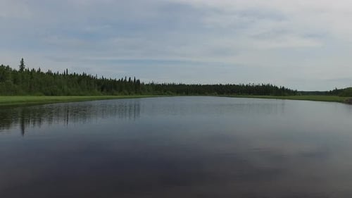 Lake surrounded by forest
