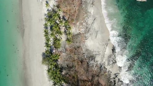 Virgin Unspoiled Caribbean Tropical White Sandy Beach