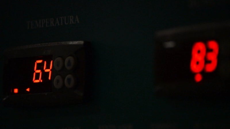 Royalty-Free Temperature Videos - Envato