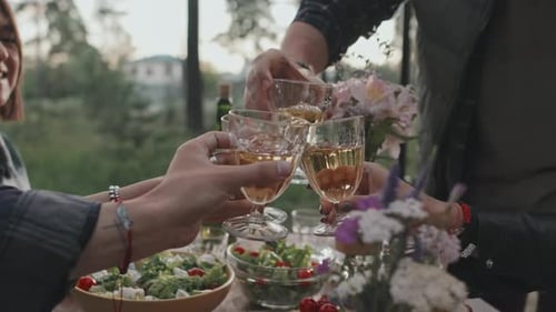 Friends Toasting Wine at Outdoor Celebration