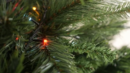 Christmas Tree Decorated With Colorful String Lights