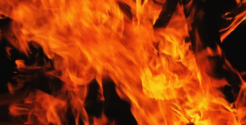 Bright Fiery Flames Burning with Heat