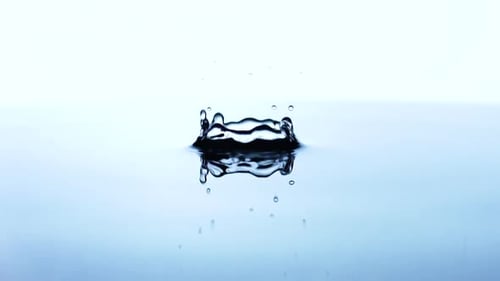 Drop of Water Falls on the Surface of a Liquid in Slow Motion. Macro Shot