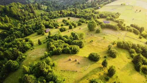 Vol d'observation aérienne par drone au-dessus d'une zone rurale et d'une forêt de pins en montagne au coucher du soleil par temps ensoleillé