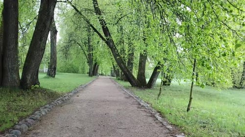 Spring In A Country Estate
