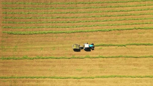Luftaufnahme eines Traktors auf dem Feld. Landmaschinen pressen grünes Gras für Kühe