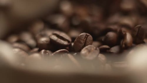Roasted Coffee Beans Poured onto Pile Close-Up