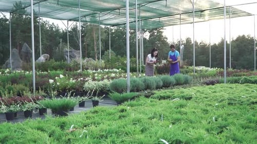 Workers of the Garden Center in Work