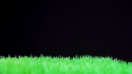 Shiny green grass surface with black background