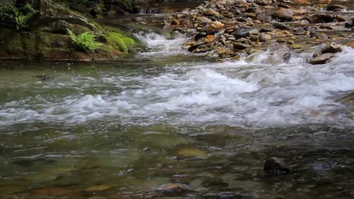 Mountain river in the jungle. Water flow in the forest. Natural stream in the woods.