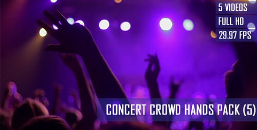 Energetic Concert Crowd Celebrates Live Music