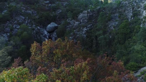 Picturesque Waterfall in Highland Forest