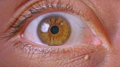 Human Eye Blinking in Extreme Close Up