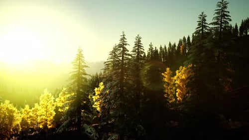 Coucher de soleil radieux dans les montagnes