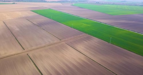 Champs verts et gris vus d'en haut