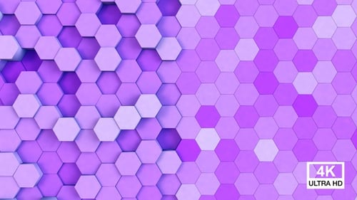 Hexagonal Background Purple