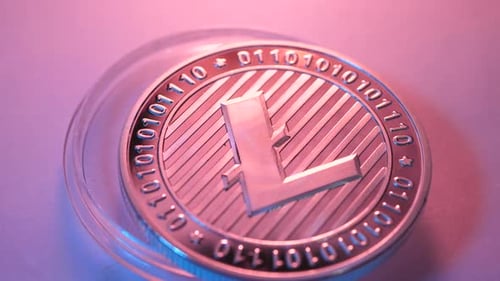 Macro Shot of Litecoin Cryptocurrency Coin