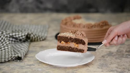 Chocolate Cake Slice Being Served on Plate