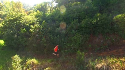 Man jogging on forest path