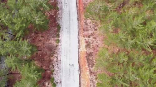 Road in mountain forest.