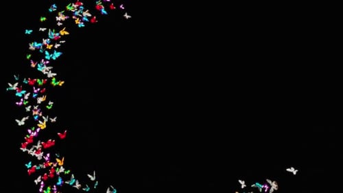 Vibrant Swarm of Butterflies Flying in Circular Pattern Animation