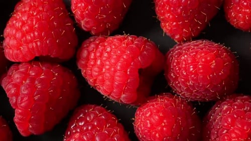 Vibrant Raspberries Zooming in Close-up