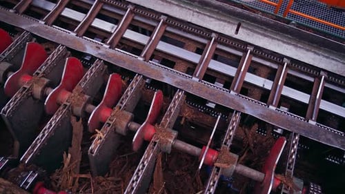 Sawmill. Process of removing bark from logs. Special machinery with conveyor.