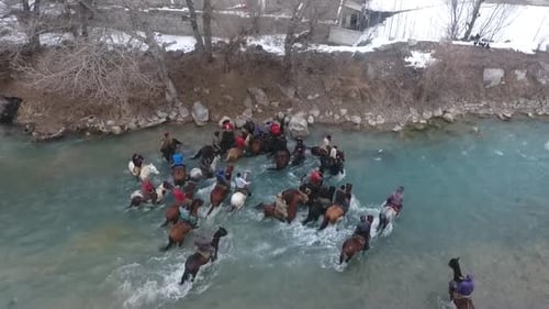 Group of Horses Rides Through River