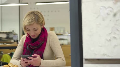 Technology. Smiling woman using mobile phone in cafe indoors