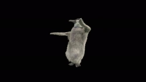 77 Bear Dancing 4K
