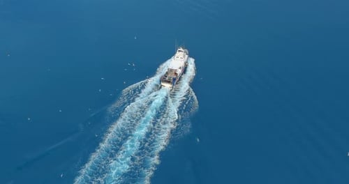 Vista aérea. Barco de pesca con peces grandes que se arremolinan en bandada de glaruses hambrientas. Barco pequeño