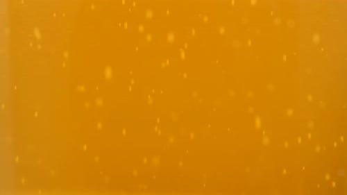 Close Up of Fizzy Golden Beer