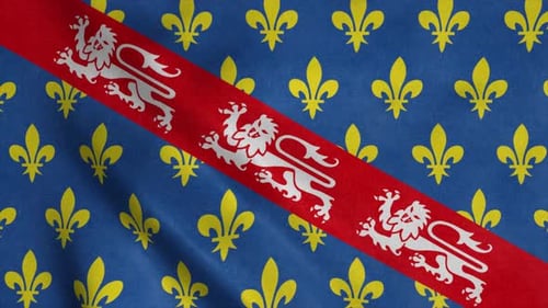 Waving Flag with Fleur-de-lis and Heraldic Lions Animation